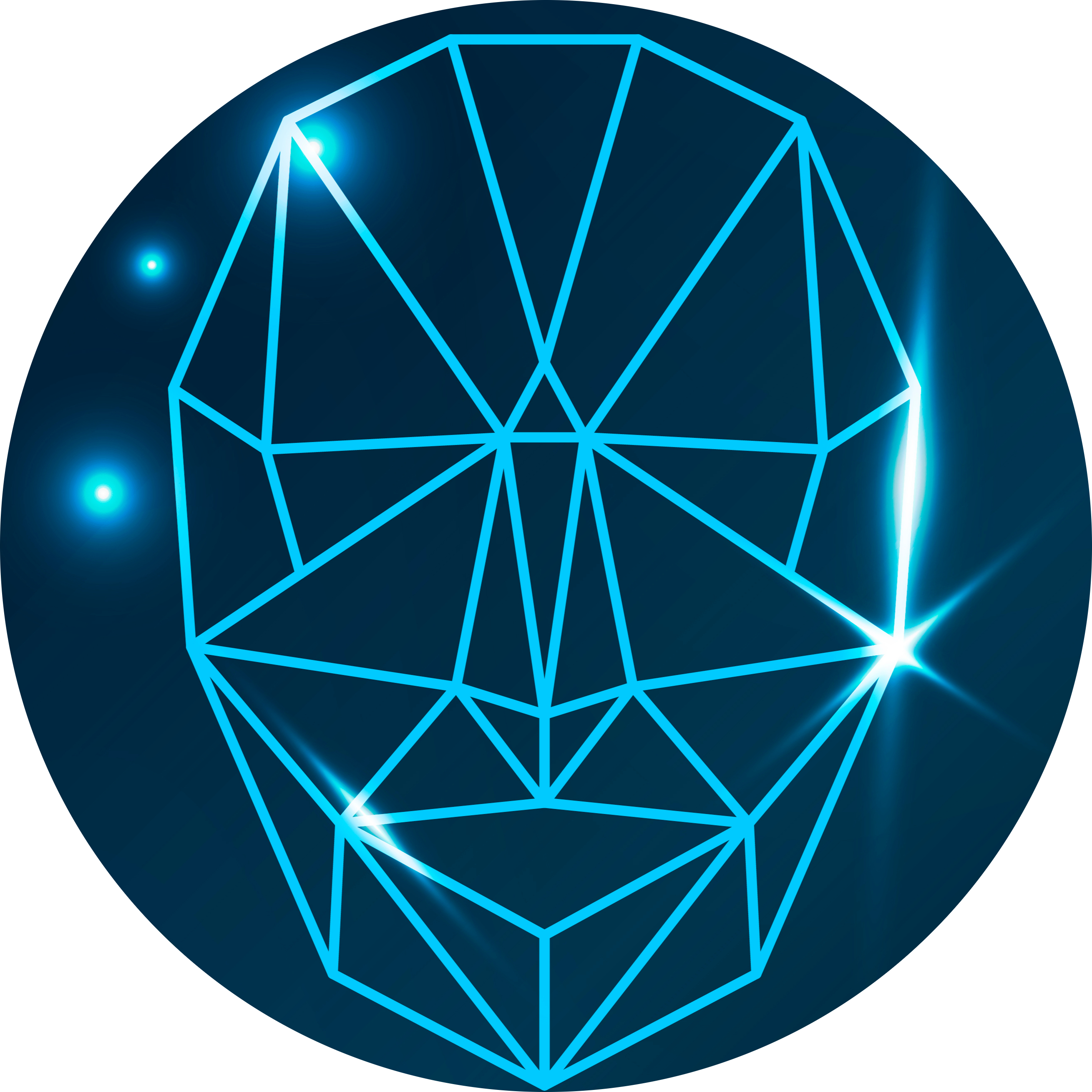 Task Management Icon